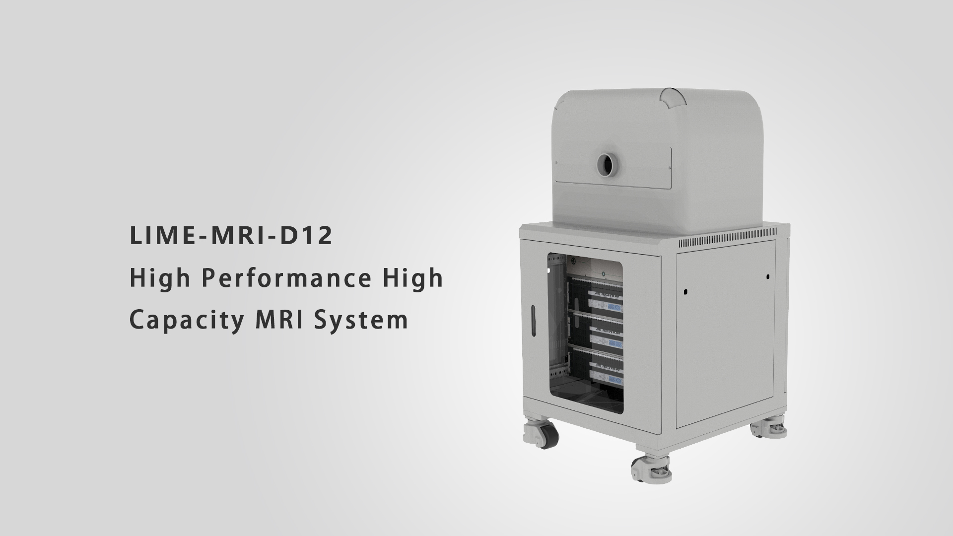 LIME - MRI-D12